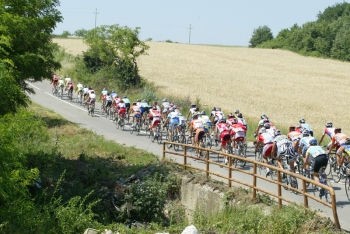 photo_12