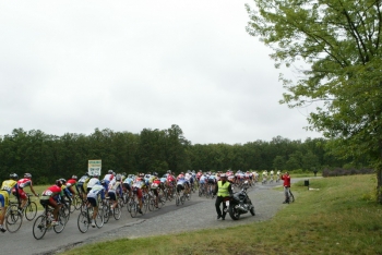 photo_15