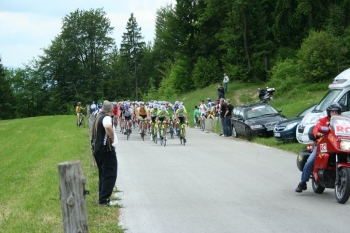 photo_15