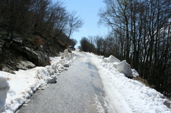 photo_19